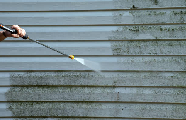 Best Roof Pressure Washing  in Twin Falls, ID